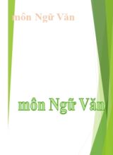 Bộ đề ôn thi học sinh giỏi Ngữ văn Lớp 6 - Soạn theo cấu trúc mới - Nguyễn Lý Tưởng